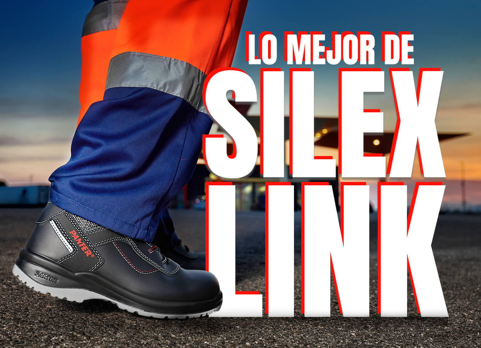 The Best of Silex Link